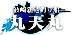 丸天丸